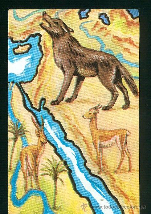 Coleccionismo Cromos antiguos: CROMO BIMBO COLECCION ATLAS ILUSTRADO. CROMO N&ordm; 101