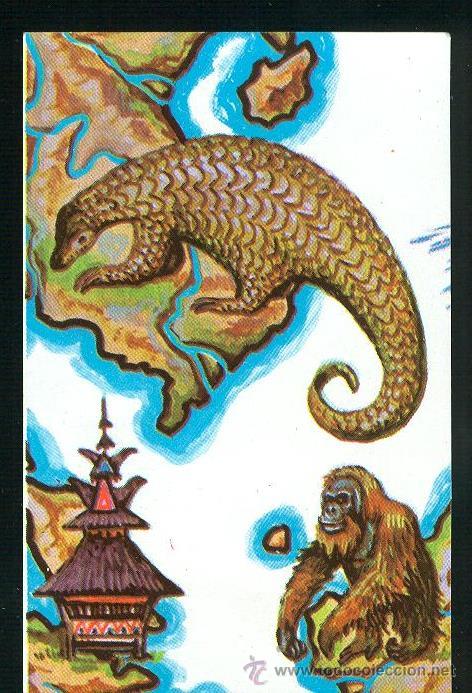 Coleccionismo Cromos antiguos: CROMO BIMBO COLECCION ATLAS ILUSTRADO. CROMO N&ordm; 204