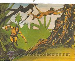 Coleccionismo cromos antiguos: CROMO PANRICO JUNGLORAMA TARZAN - Foto 1