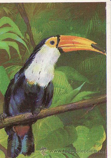 Coleccionismo cromos antiguos: DUNKIN -- LAS AVES N&ordm; 2 - Foto 1