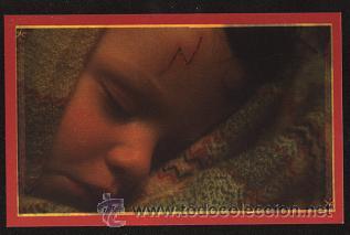 Coleccionismo cromos antiguos: Cromo Harry Potter ( n&ordm;. 7 ) Panini - Foto 1