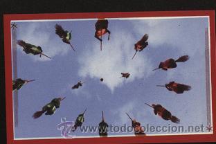 Coleccionismo cromos antiguos: Cromo Harry Potter ( n&ordm;. 32 ) Panini - Foto 1