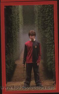 Coleccionismo cromos antiguos: Cromo Harry Potter ( n&ordm;. 146 ) - Foto 1