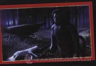Coleccionismo cromos antiguos: Cromo Harry Potter ( n&ordm;. 201 ) Panini - Foto 1