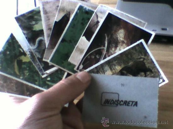 Coleccionismo cromos antiguos: Lote de 14 cromos Teleindiscreta - Foto 1