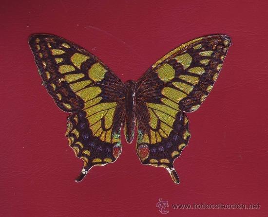 Sammeln alte Sammelbilder: PANRICO - LAS CIEN MARIPOSAS MAS BELLAS DEL MUNDO - 28 MACAON - NUNCA PEGADO