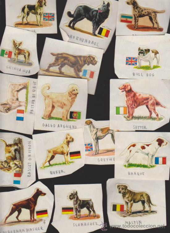 Sammeln alte Sammelbilder: Lote de 16 cromos pegatinas pegadas sobre papel.