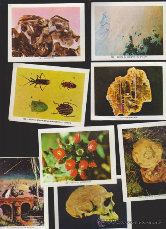 Sammeln alte Sammelbilder: Cromos Encicl&oacute;pedicos? Lote de 550 cromos (7,5x10)