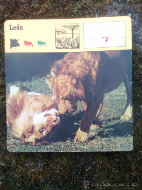 Coleccionismo cromos antiguos: Ficha Editions rencontre 1975 - Leon - Foto 1