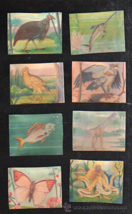 Coleccionismo Cromos antiguos: LOTE DE 170 CROMOS DE ANIMALES DE TODO EL MUNDO. EDITORIAL FHER - Foto 4 - 37138719
