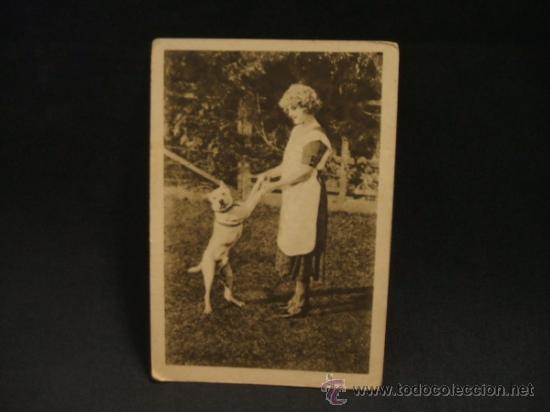 Collezionismo Figurine antiche: CROMO - LOS ARTISTAS CINEMATOGRAFICOS EN LA INTIMIDAD - SERIE A - N&ordm; 21 - WANDA HAWLEY - AMATLLER -