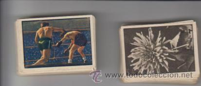 Sammeln alte Sammelbilder: Gallina Blanca Album 2&ordm;. 1949.  Lote de 520 cromos,hay algunos repetidos.