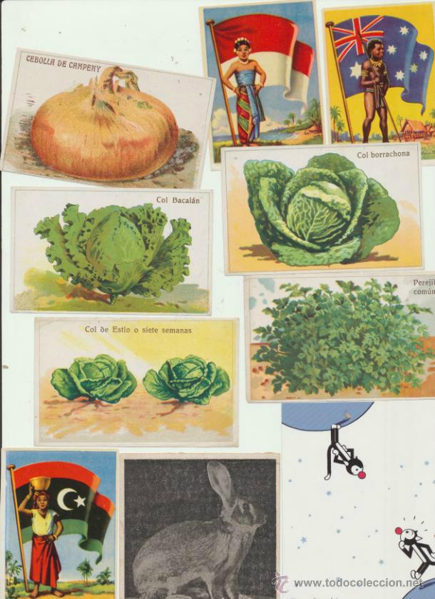 Collezionismo Figurine antiche: Lote de 10 cromos varios: Banderas del Universo,Vegetales...