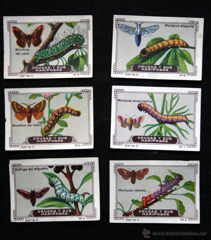 Collectable Antique Stickers: ORUGAS Y SUS MARIPOSAS - MI ALBUM - NESTLE -  SERIE 51 - 6 cromos