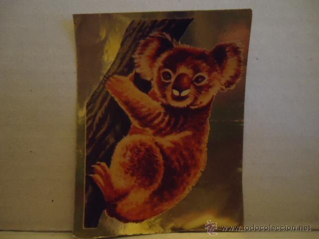 Coleccionismo cromos antiguos: ANTIGUO CROMO KOALA BIMBO PHOSKITO O SIMILAR