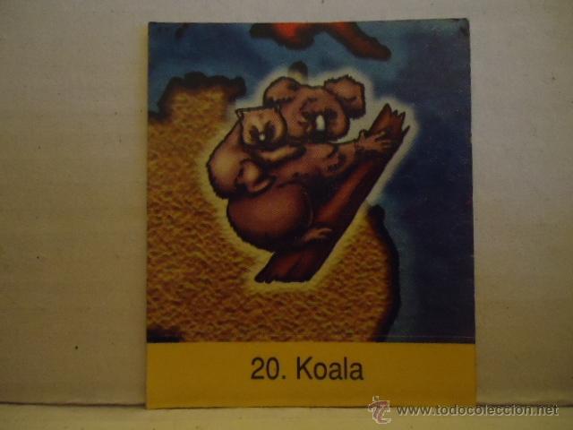 Coleccionismo cromos antiguos: ANTIGUO CROMO  ADHESIVO KOALA BIMBO PHOSKITO O SIMILAR