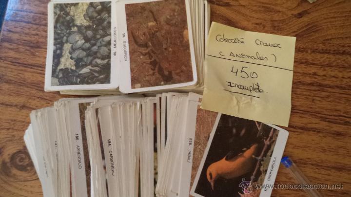 Coleccionismo cromos antiguos: 400 cromos de animales - Foto 1