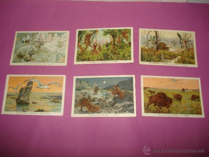 Colecionismo Cromos antigos: Antiguos Cromos Litografiados GRANDES CACERIAS en Frances . A&ntilde;o 1920-30s