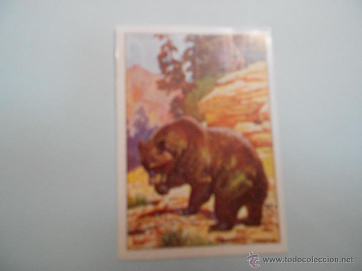 Coleccionismo cromos antiguos: CROMO WEST PANINI N&ordm; 98 - Foto 1