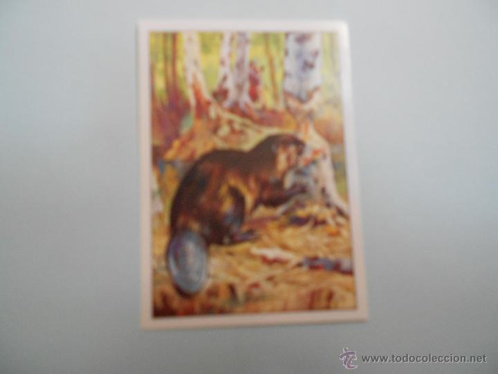 Coleccionismo cromos antiguos: CROMO WEST PANINI N&ordm; 101 - Foto 1