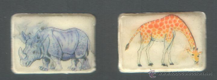 Coleccionismo cromos antiguos: 2 CROMOS  DE ** ANIMALES ** LENTICULARES - Foto 1