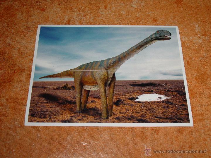 Coleccionismo cromos antiguos: LOTE 4 CROMOS ESPECIALES DE LA COLECCI&Oacute;N DE MARCA: DINOSAURIOS, N&Uacute;MEROS: E5 - E6 - E7 - E8 - Foto 1