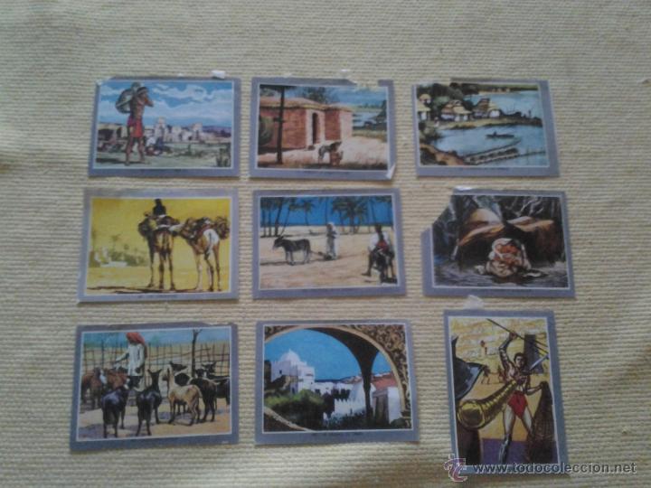 Coleccionismo cromos antiguos: Lote de cromos Vida y Color - Foto 3