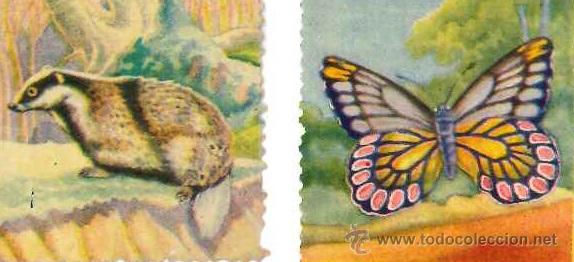 Coleccionismo cromos antiguos: animales y plantas marinas de fher 200 cromos se venden sueltos