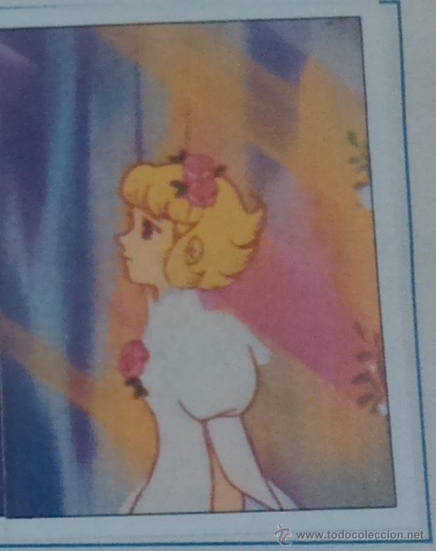 Collectionnisme Cartes &agrave; collectionner anciennes: EL MISTERIO DE LA FLOR MAGICA PANINI CROMO N 232