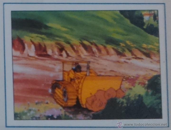 Colecionismo Cromos antigos: EL MISTERIO DE LA FLOR MAGICA PANINI CROMO N 206