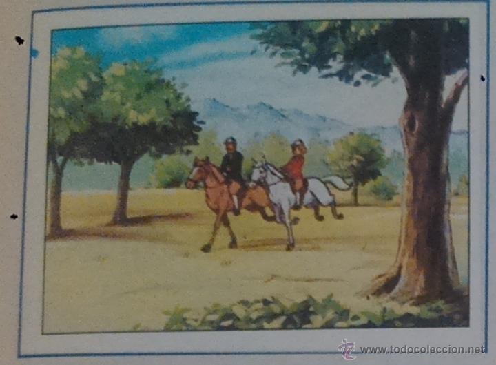 Colecionismo Cromos antigos: EL MISTERIO DE LA FLOR MAGICA PANINI CROMO N 184