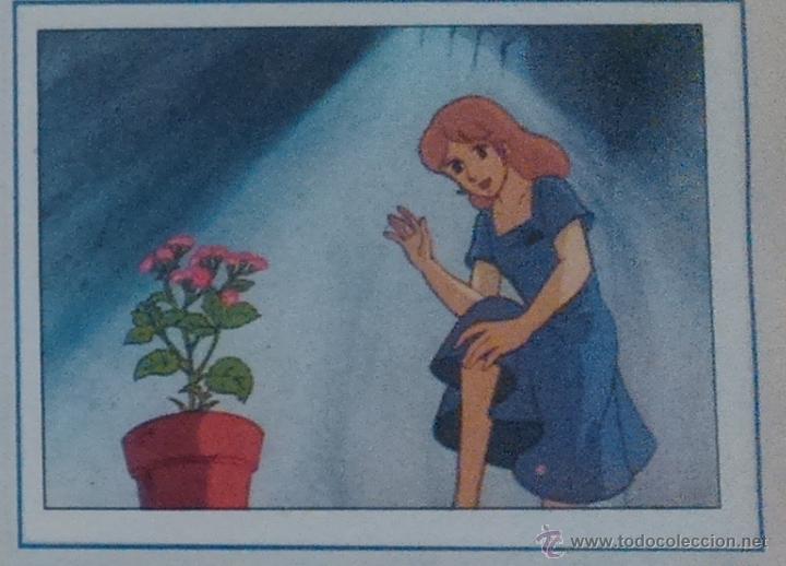 Collectable Antique Stickers: EL MISTERIO DE LA FLOR MAGICA PANINI CROMO N 172