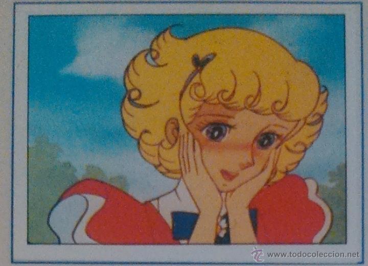 Collectable Antique Stickers: EL MISTERIO DE LA FLOR MAGICA PANINI CROMO N 91