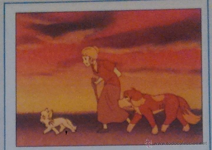 Collectable Antique Stickers: EL MISTERIO DE LA FLOR MAGICA PANINI CROMO N 84