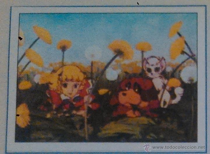 Collectable Antique Stickers: EL MISTERIO DE LA FLOR MAGICA PANINI CROMO N 83