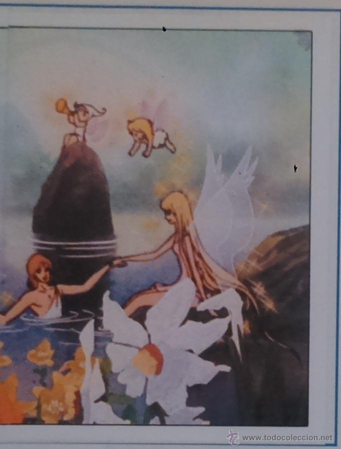 Collectable Antique Stickers: EL MISTERIO DE LA FLOR MAGICA PANINI CROMO N 23