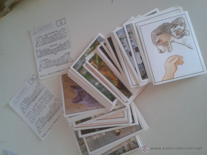 Colecionismo Cromos antigos: MIS ANIMALES PREFERIDOS- lote de 100 cromos - tambien se venden sueltos