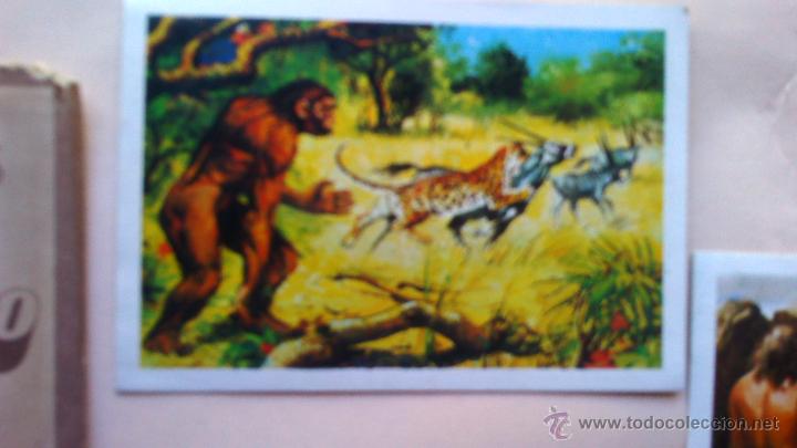 Coleccionismo cromos antiguos: sobre con 3 cromos de SUPER CROMO - Foto 4