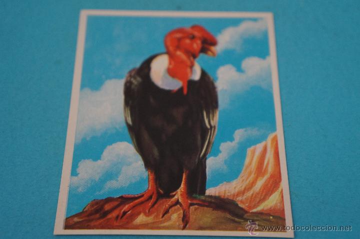 Collezionismo Figurine antiche: CROMO DE:AM&Eacute;RICA Y SUS HABITANTES,(SIN PEGAR),N&ordm;209,DEL ALBUM,AM&Eacute;RICA Y SUS HABITANTES,DE MAGA