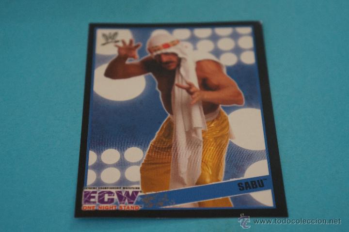 Coleccionismo Cromos antiguos: CROMO DE:WW CHAMPIONS,(SIN PEGAR),N&ordm;240,A&Ntilde;O 2006,DEL ALBUM,WW CHAMPIONS,DE MERLIN