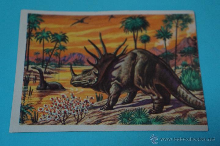 Coleccionismo Cromos antiguos: CROMO DE:HISTORIA NATURAL,(DESPEGADO),N&ordm;10,A&Ntilde;O 1967,DEL ALBUM,HISTORIA NATURAL,DE BRUGUERA