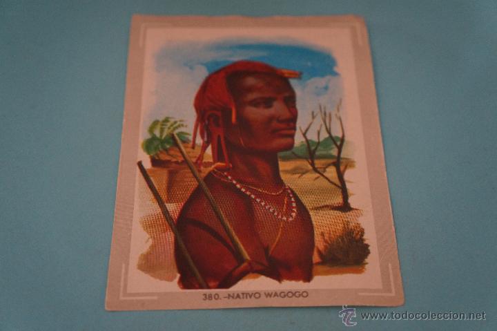 Collectionnisme Cartes &agrave; collectionner anciennes: CROMO DE:NATURALEZA Y COLOR,(DESPEGADO),N&ordm;380,A&Ntilde;O 1980,DEL ALBUM,NATURALEZA Y COLOR,DE CAREN