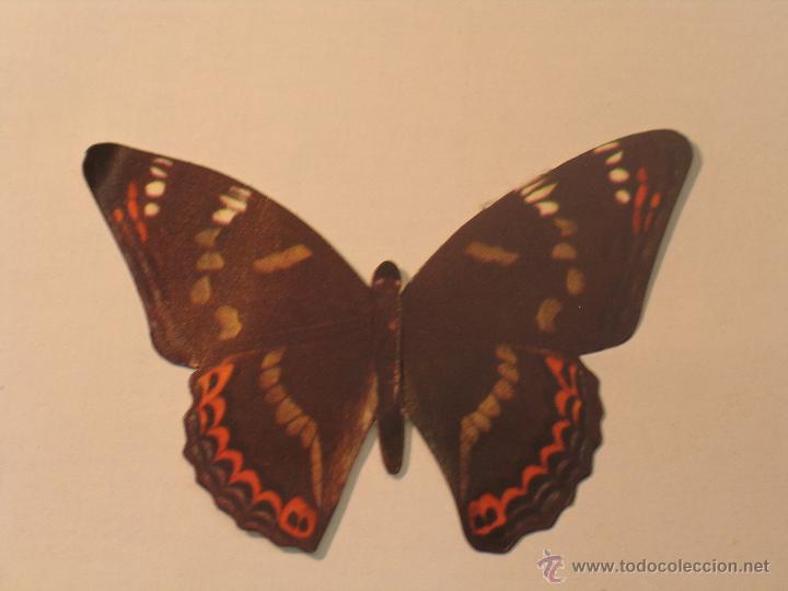 Coleccionismo cromos antiguos: mariposas 9 - Foto 1