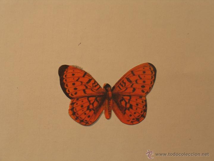 Coleccionismo cromos antiguos: mariposas 40 - Foto 1