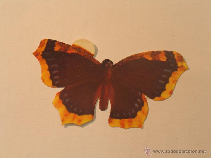 Coleccionismo cromos antiguos: mariposas 30 - Foto 1