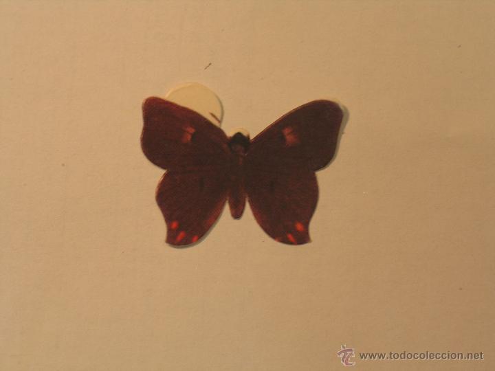 Coleccionismo cromos antiguos: mariposas 23 - Foto 1