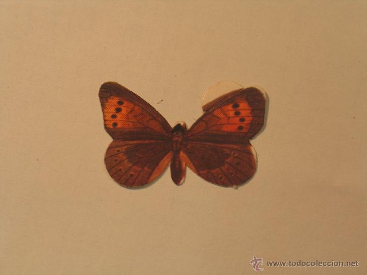 Coleccionismo cromos antiguos: mariposas (no se numero) - Foto 1