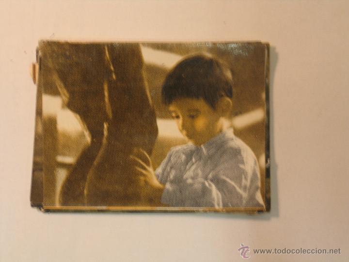 Collezionismo Figurine antiche: marcelino pan y vino m189