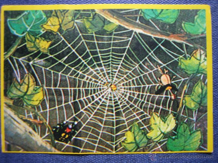Coleccionismo cromos antiguos: Cromo Las aventuras de la abeja Maya de Danone - Foto 1