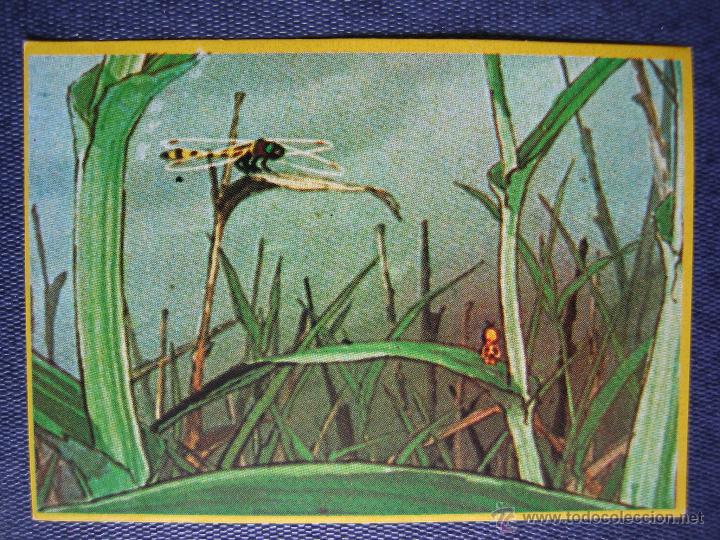 Coleccionismo cromos antiguos: Cromo Las aventuras de la abeja Maya de Danone - Foto 1